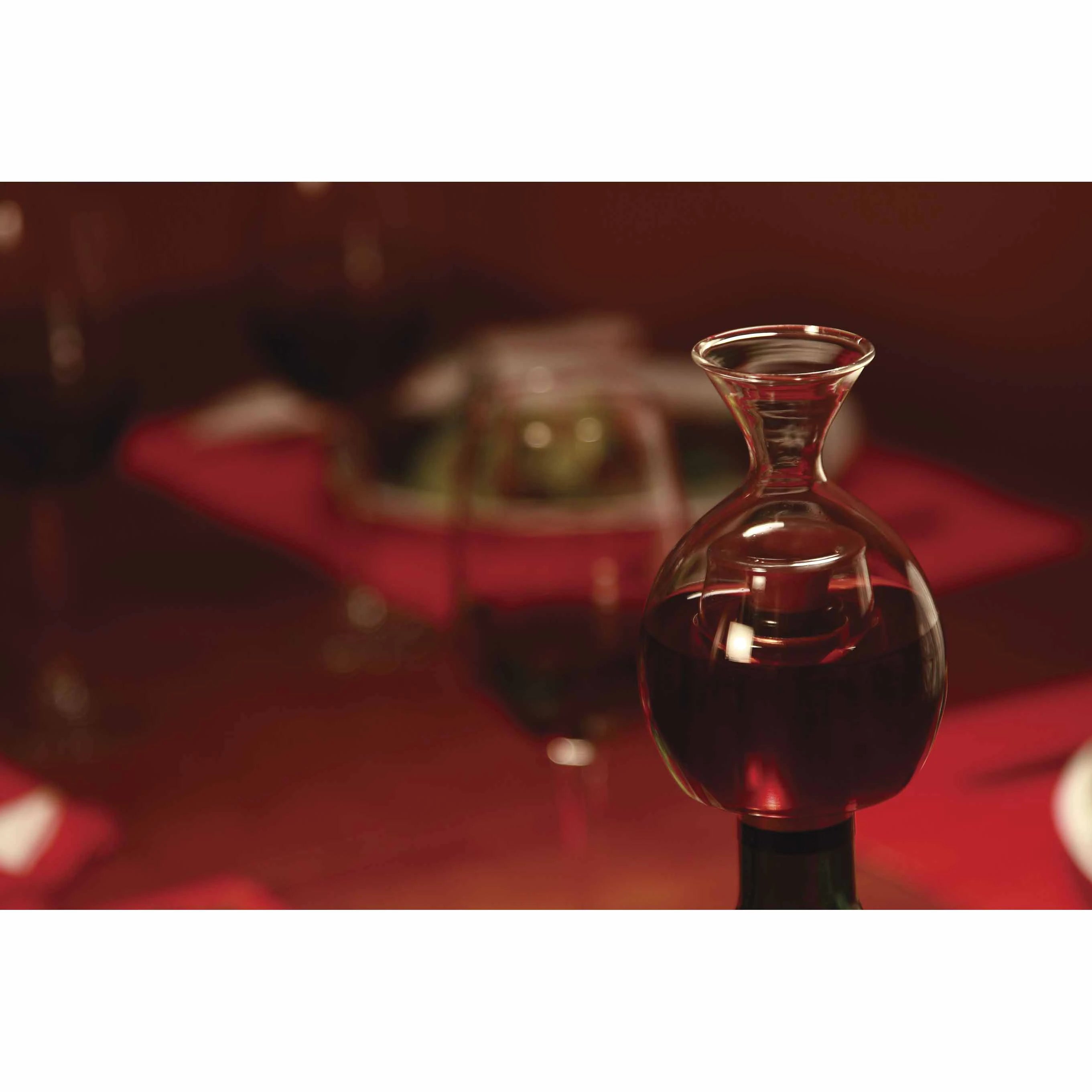 Neck Decanter Ver el Vino Deluxe Case ESP 502