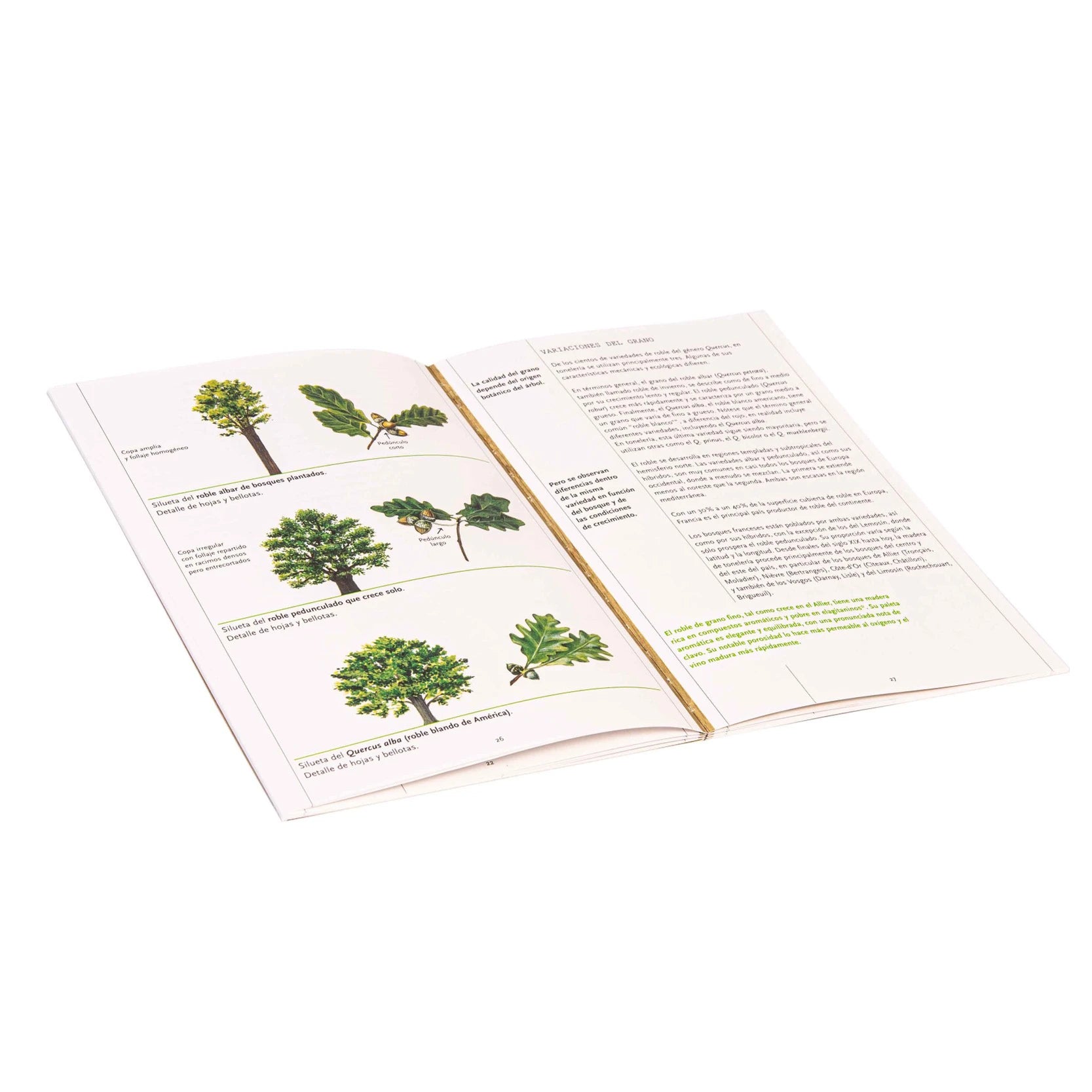 Libro 12 aromas "La Barrica de Roble" Le Nez du Vin