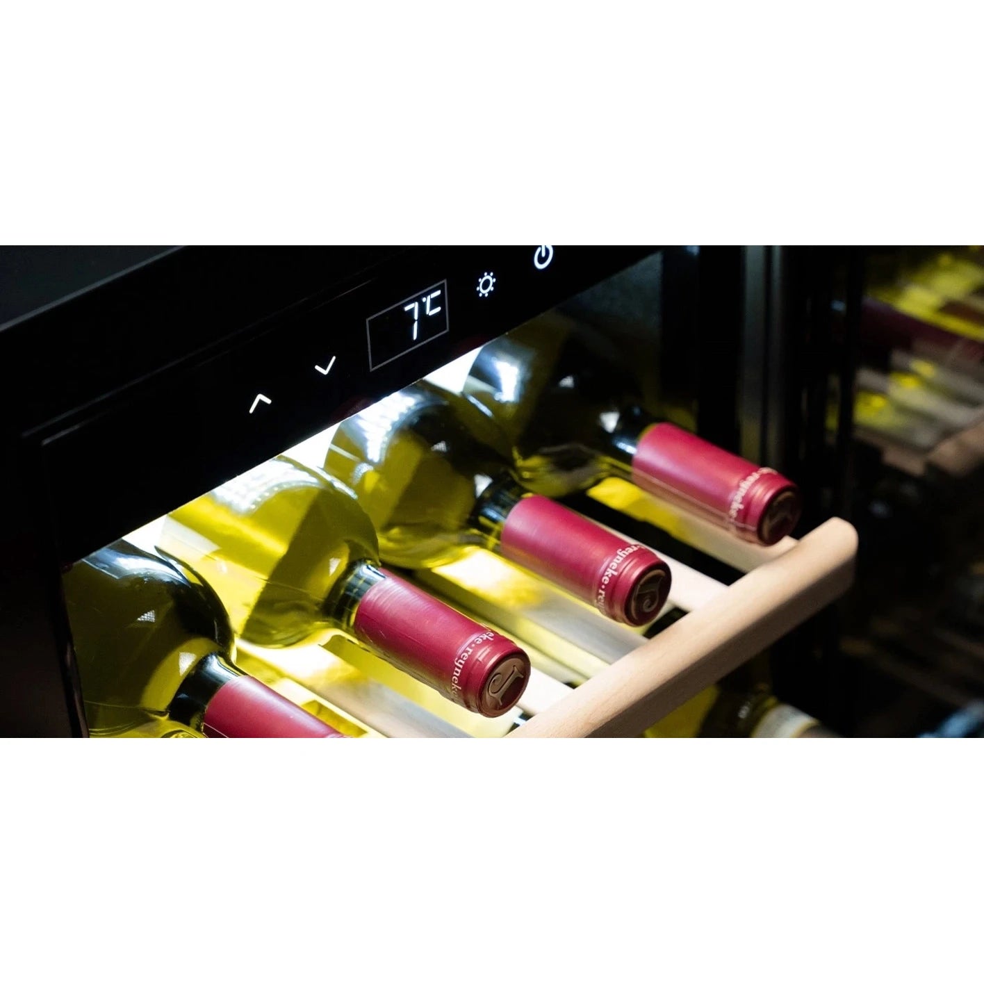 Wine Cooler 12 bottles Caso WineExclusive 12
