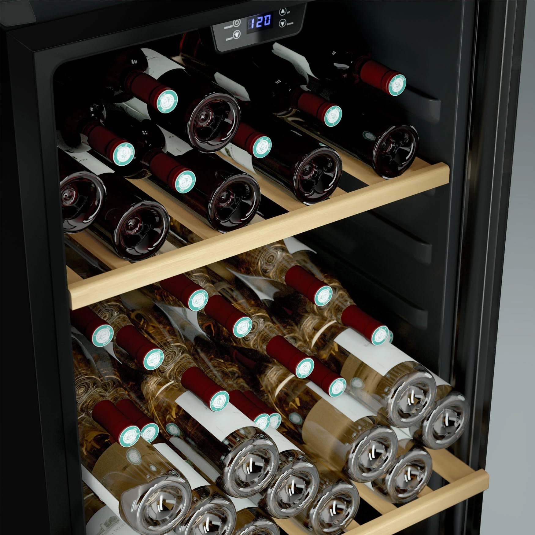 Wine Cooler 122 bottles Les Petits Champs CAVC122