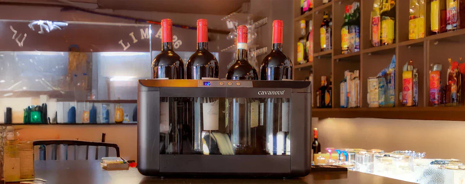 enfriadores de vino en barra para hosteleria