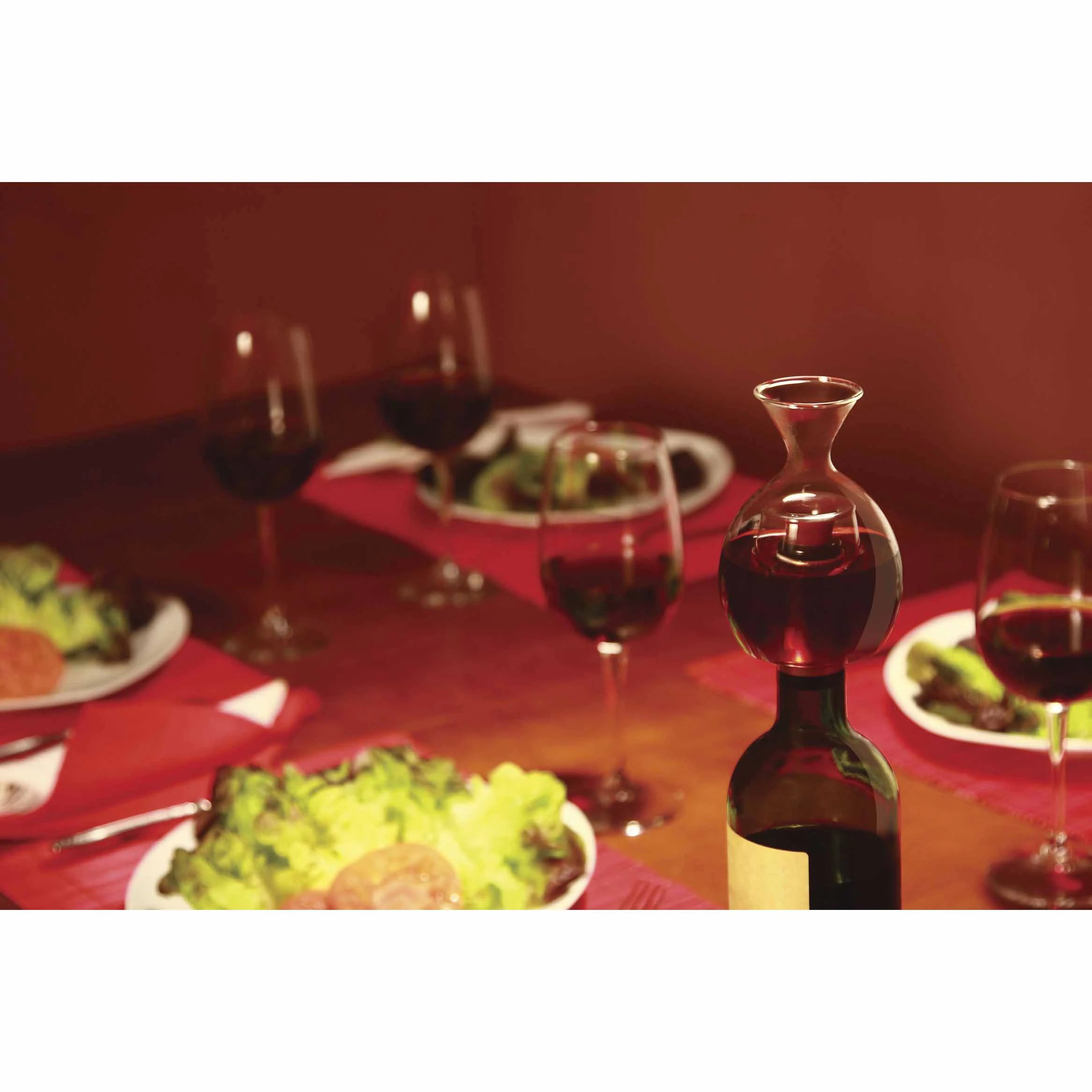 Neck Decanter Ver el Vino Deluxe Case ESP 502