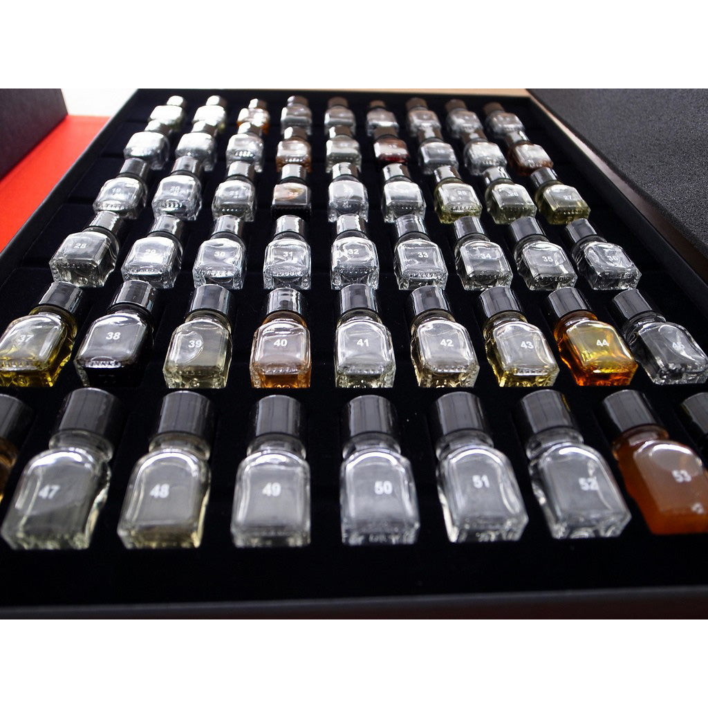 Libro 54 aromas Le Nez du Vin