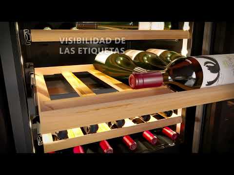 Vinoteca Avintage 68 botellas AVI122PLATINUM encastrable columna doble zona video